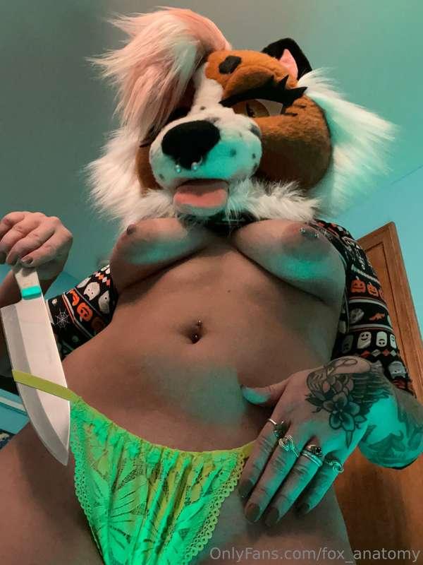 fox_anatomy image #0