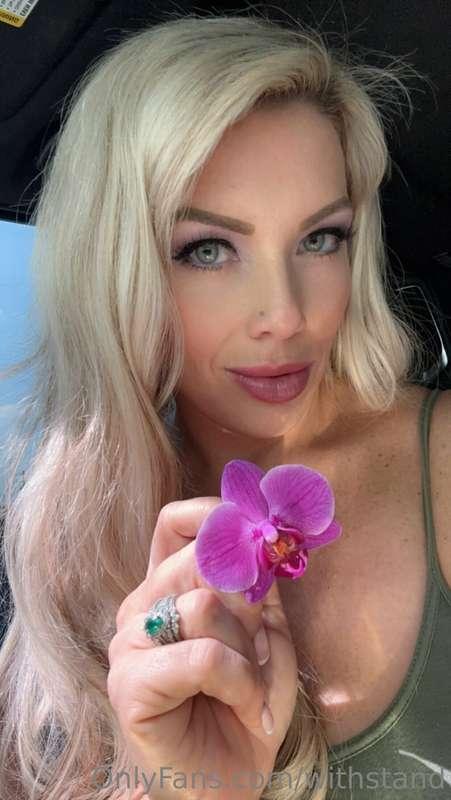 Guess where this flower has been for an upcoming shoot that ..