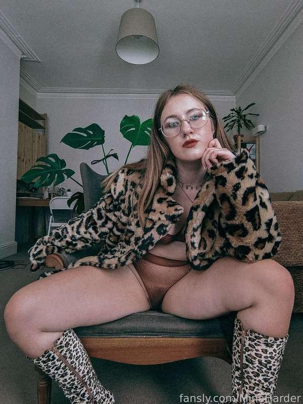 minaharder image #3