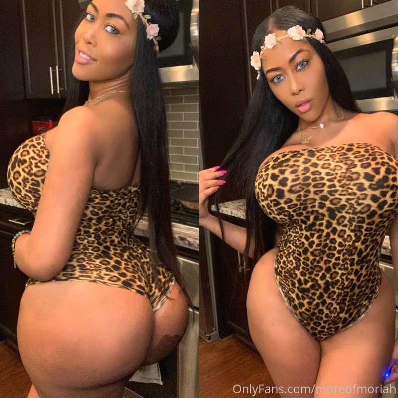 Wild🐯