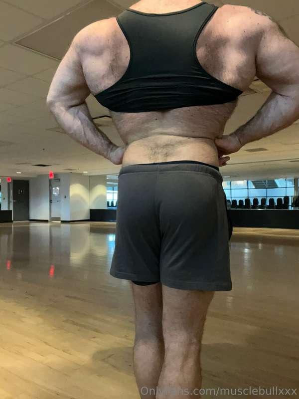 musclebullxxx image #3