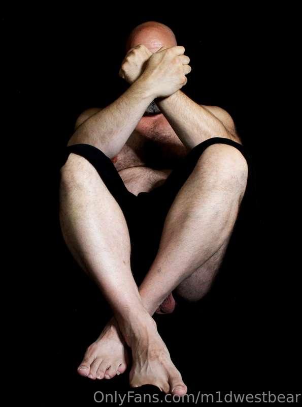 m1dwestbear image #19