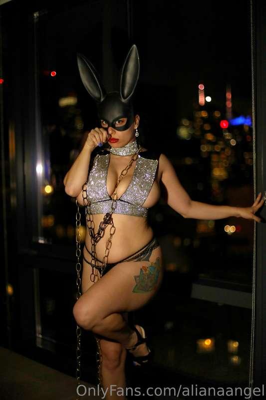 Bun bun~

PH: Index Photography