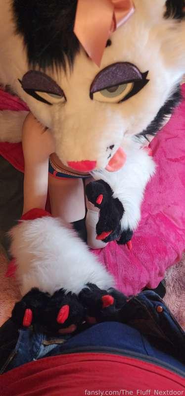 the_fluff_nextdoor image #3