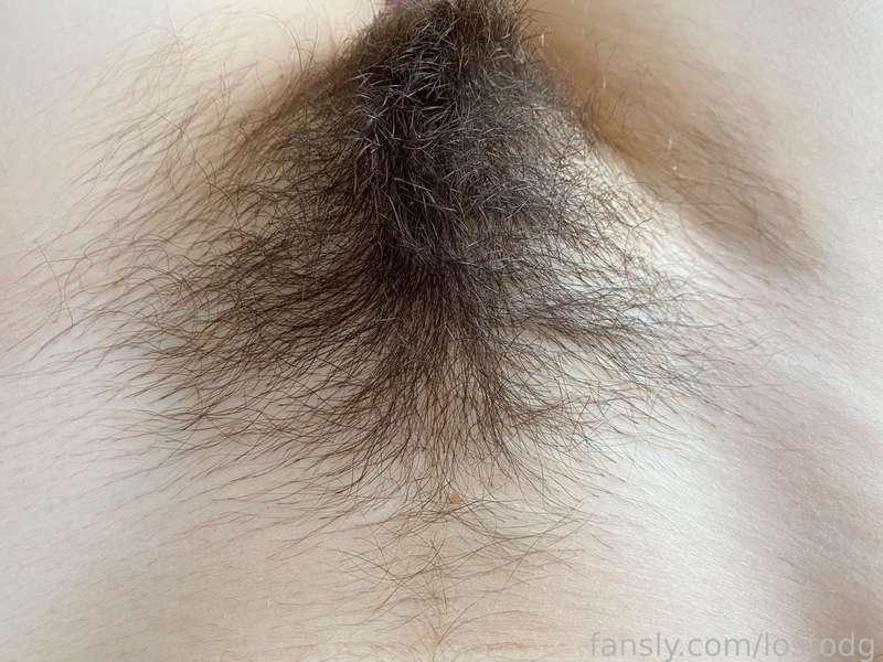 Perfect Bush🥵

#fyp #hairy #pussy #fatpussy #bush #hairypussy #closeup
