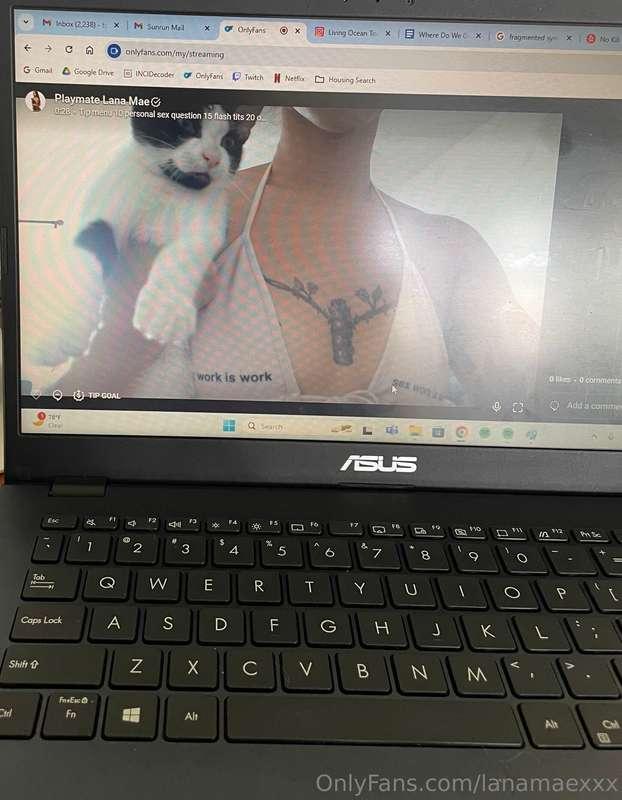 Did you miss the livestream? Check your DMs 😽