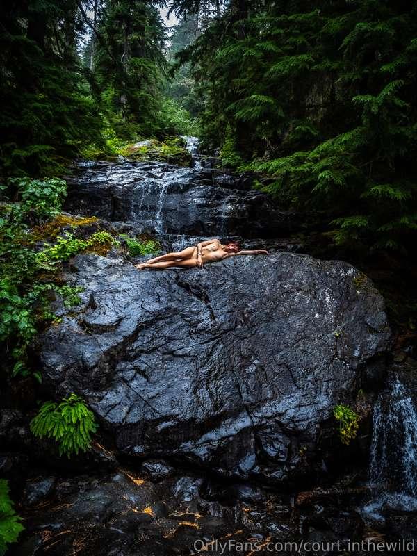 court.inthewild image #2
