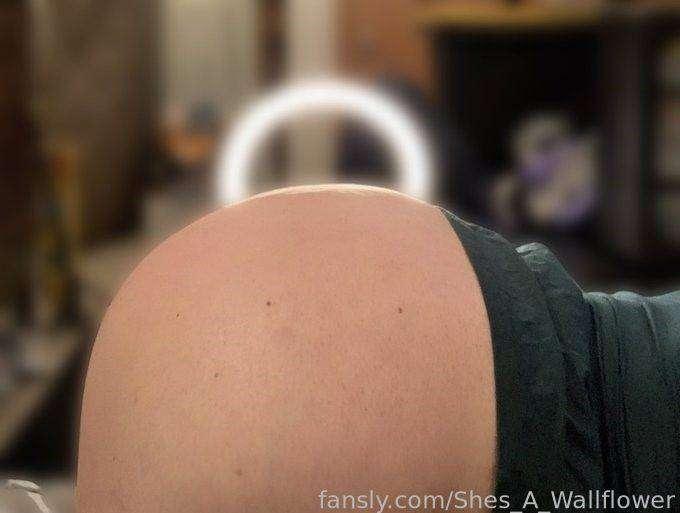 shes_a_wallflower image #2