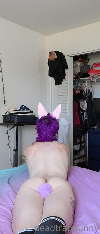 Come play with my happy, hoppy bunny butt 🐇😘