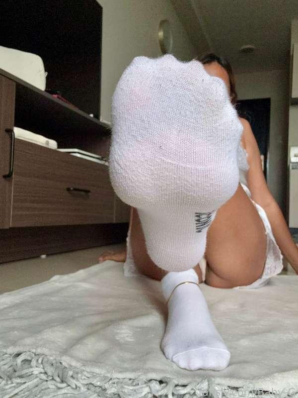 babygoat_polo_ image #2