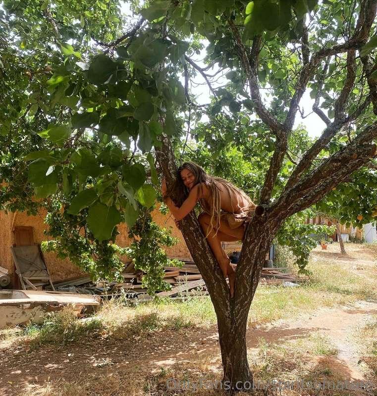 Nearly 9 months in Portugal now 🐒