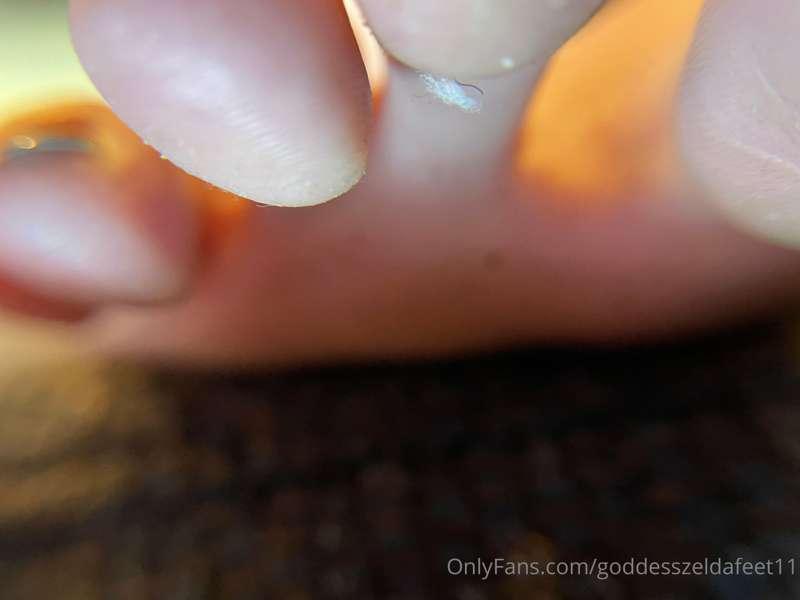 goddesszeldafeet11 image #2