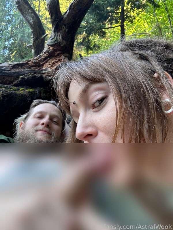 vetiver image #14