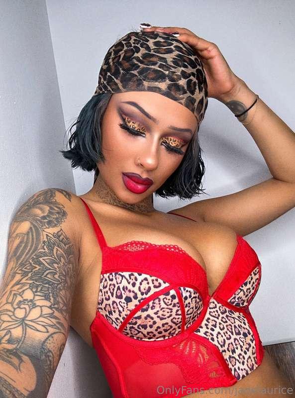 🐆🐆🐆🐆🐆