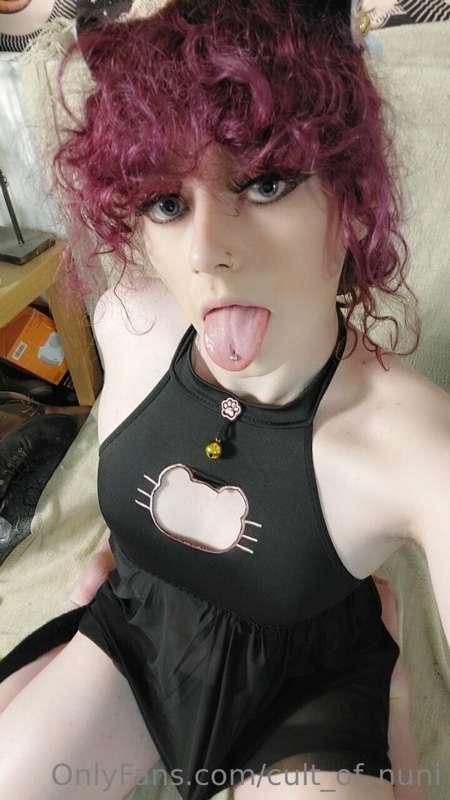 The cat outfit is this week's set!