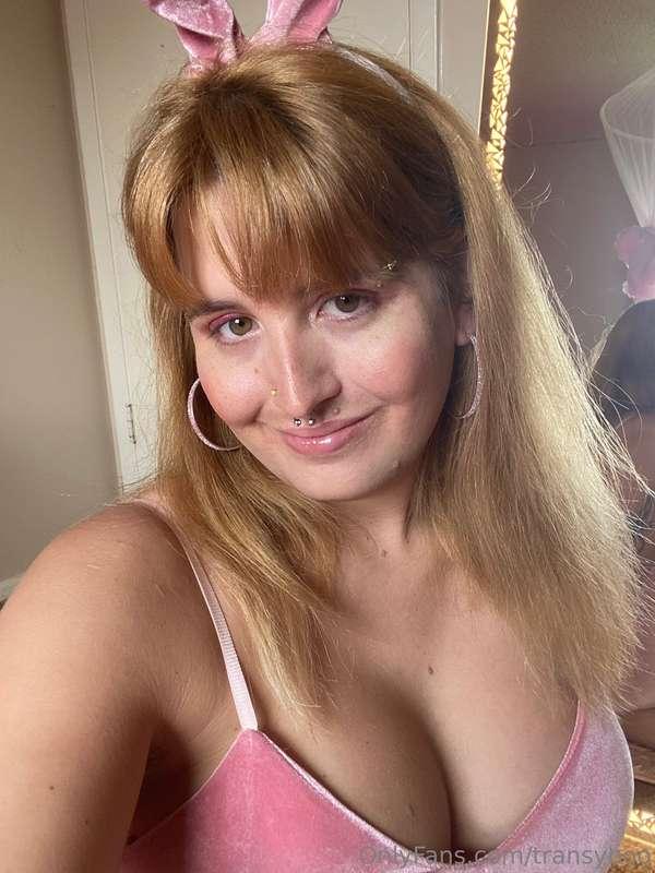 transyboo image #2