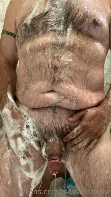 m1dwestbear image #2