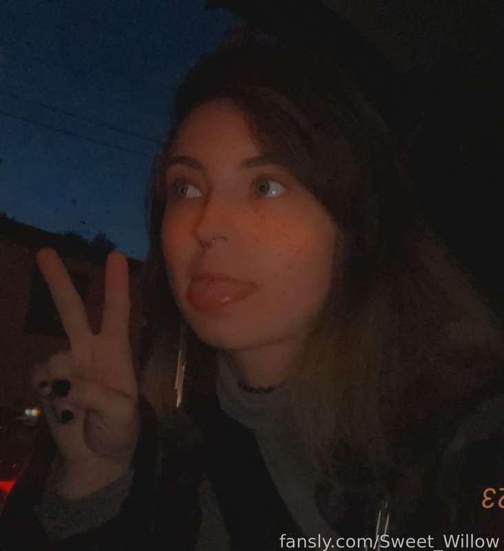 sweet_willow image #0
