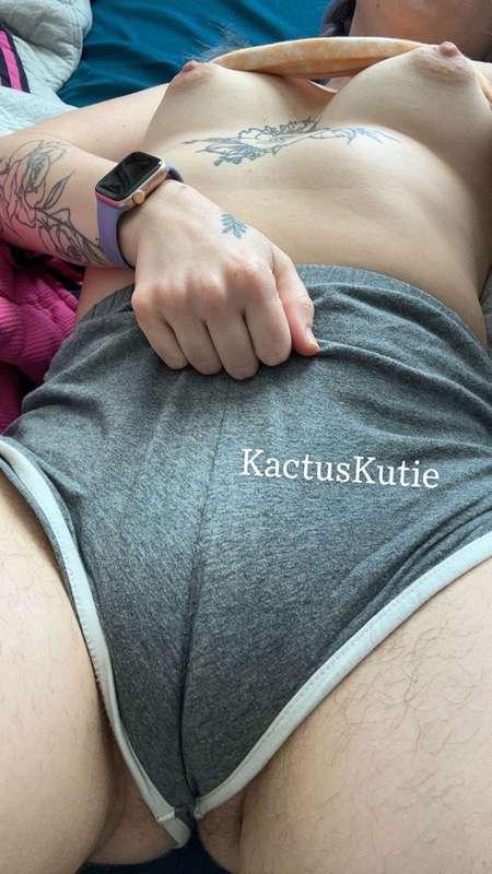 kactuskutie image #1