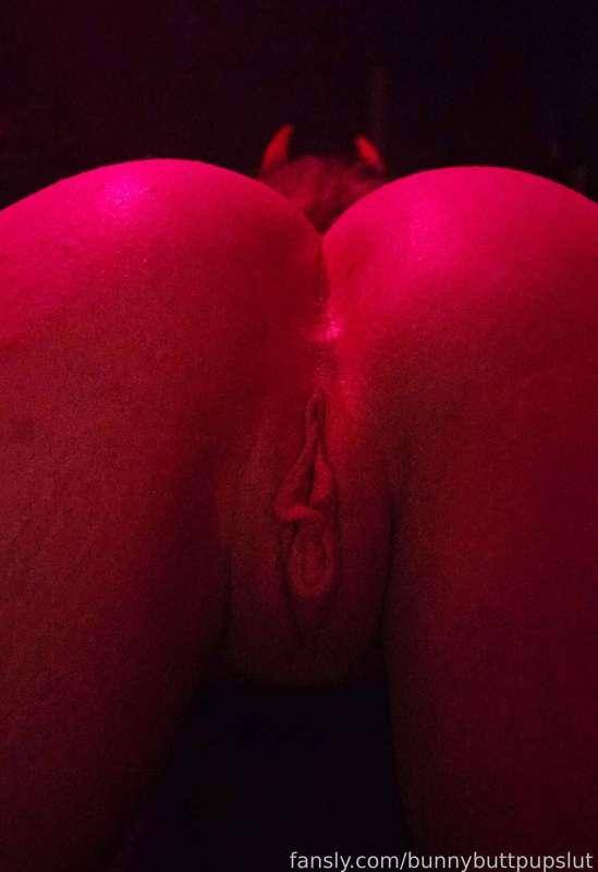 bunnybuttpupslut image #2