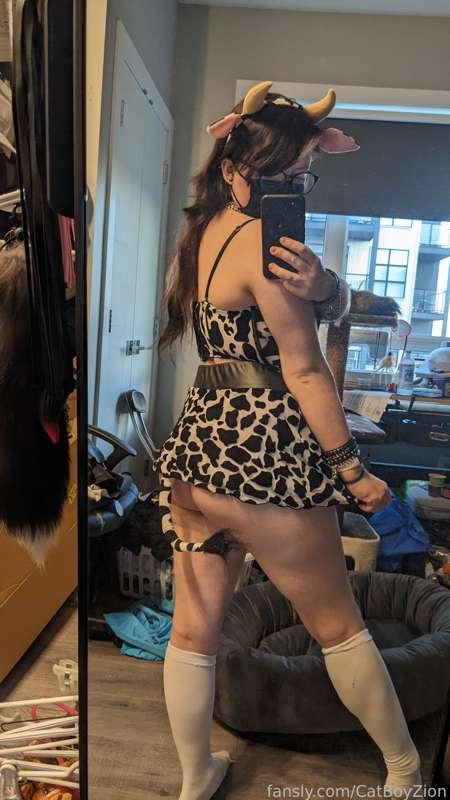catboyzion image #7