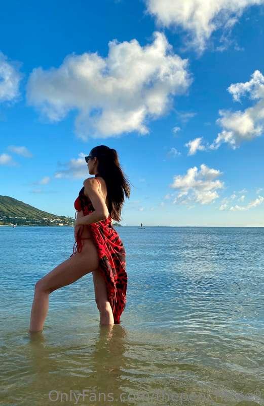 🌊🌺