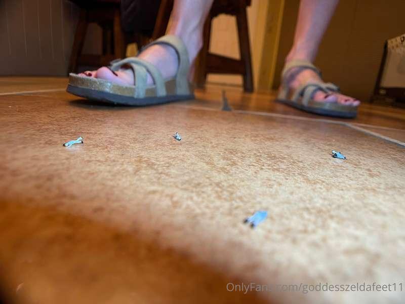 goddesszeldafeet11 image #4