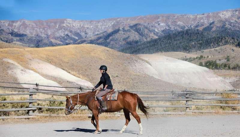 Cannot wait to return to Wyoming