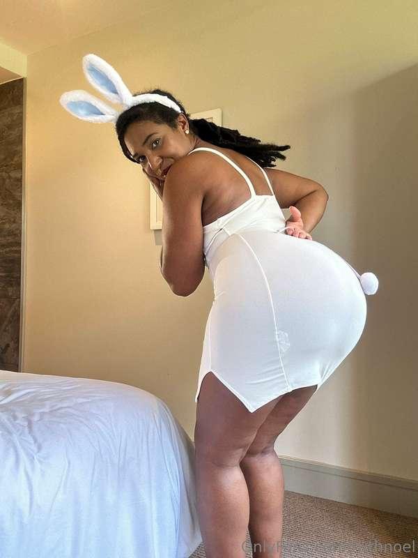 Bunny with a big b00ty 🐰