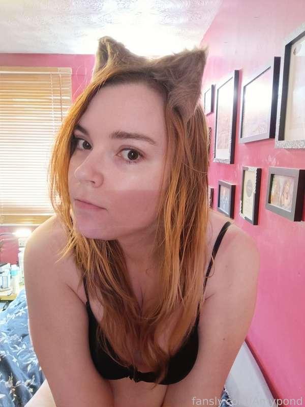 amypond image #6