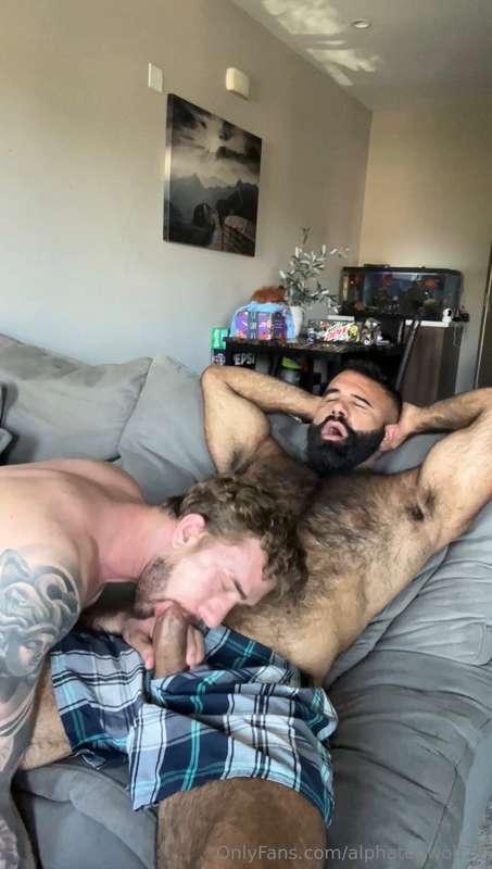 alphatopwolf22 image #0