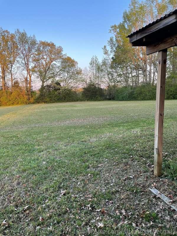 The good luck continues lol. I got the back acre mowed with ..