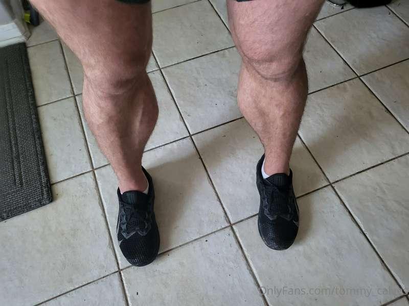 tommy_calves image #8
