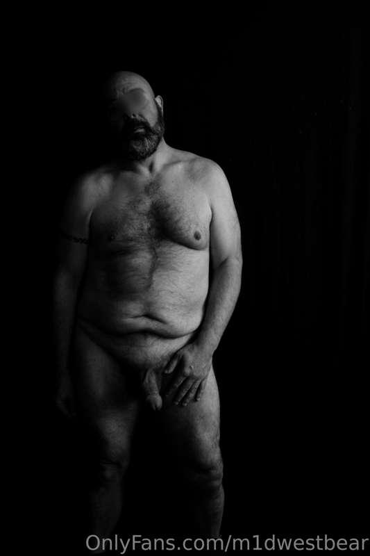 m1dwestbear image #17