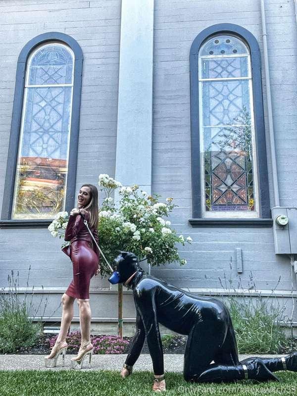 When @goddessstellasol taught me why dogs get so excited for..