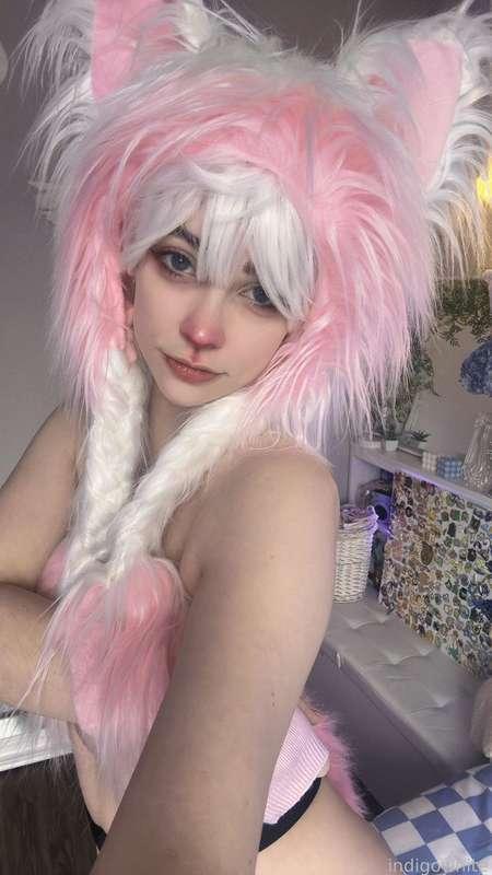 indigowhite image #291