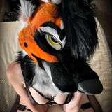 naughtywoofs