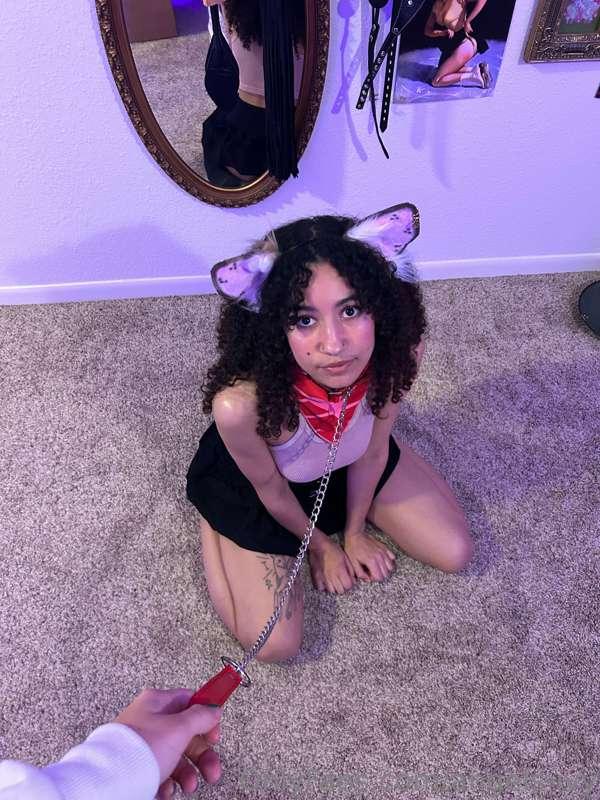 She’s ready for walkies *wags tail*🐕‍🦺🐾