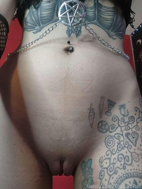 thelabrat image #4