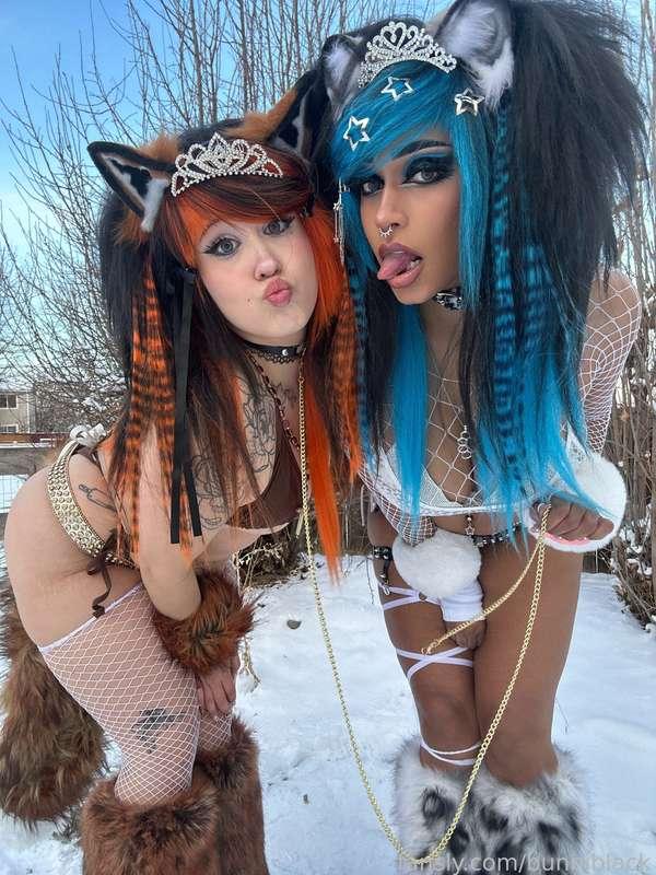 bunniblack image #1