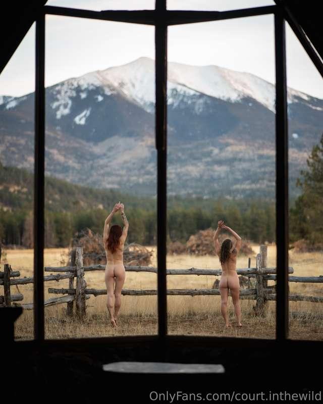 court.inthewild image #12