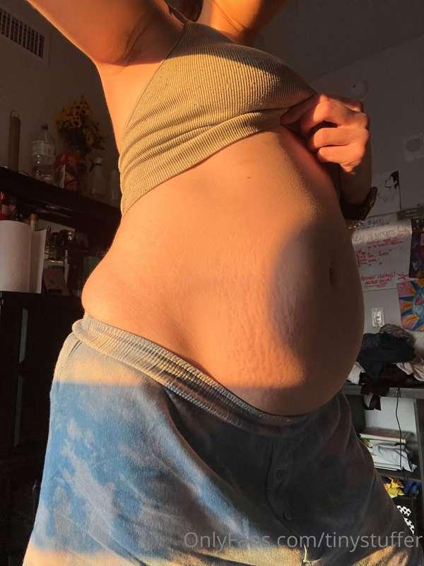 tinystuffer image #5