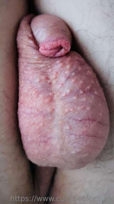 😂 just a quick snap of cuck’s sissy clitty. He’s made to sle..