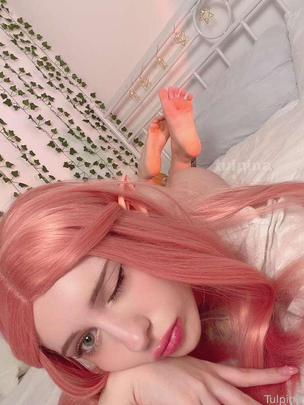 tulpina image #1