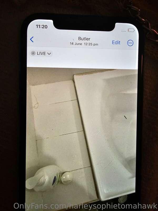 harleysophietomahawk image #22