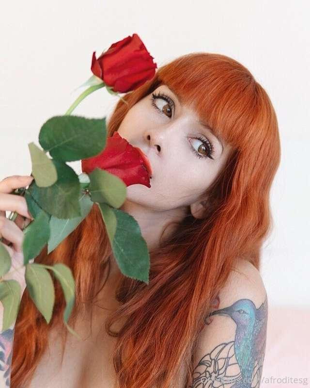 Feliz san Valentín atrasado gatitos, desliza hasta la ultima..