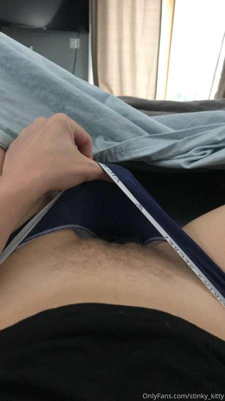 stinky_kitty image #0