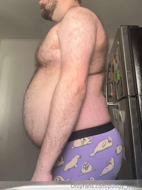 pudgy_walsh image #0
