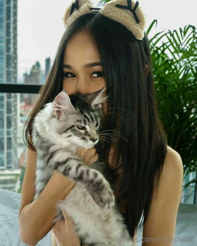 are you a cat lovers ? ❤️🥺