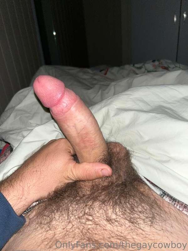 thegaycowboy image #1